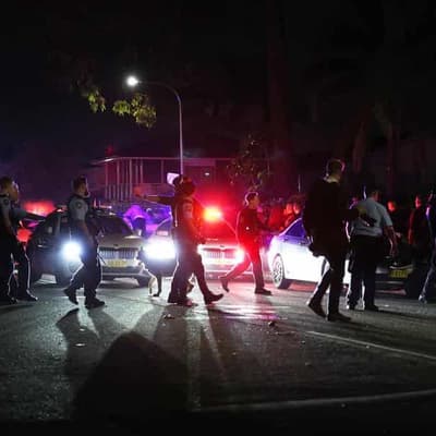 Dutton backs misinformation crackdown after stabbing