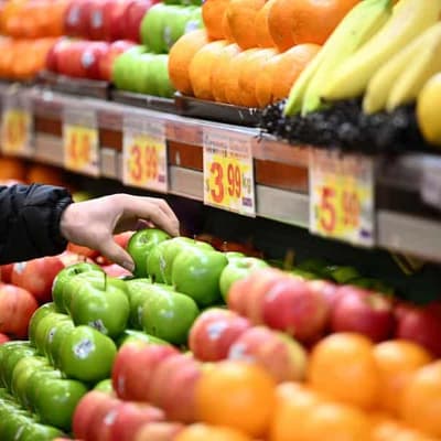 Govt sowing the seeds of fairer prices for farmers