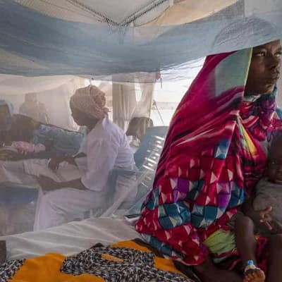 Truce crumbles in Sudanese army's last Darfur holdout