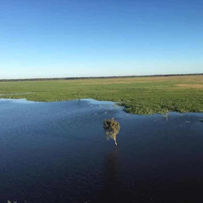 Fifty-year vision drawn up for Murray Darling Basin