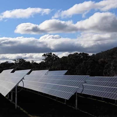 Too much local love 'will hurt' new industry chances