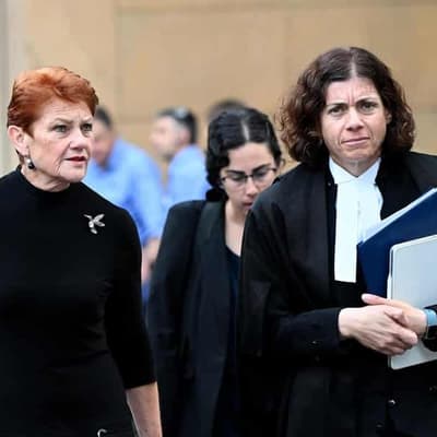 Greens senator sued Hanson to draw a 'line in the sand'