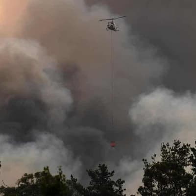 Subsonic music festival loses bushfire insurance claim