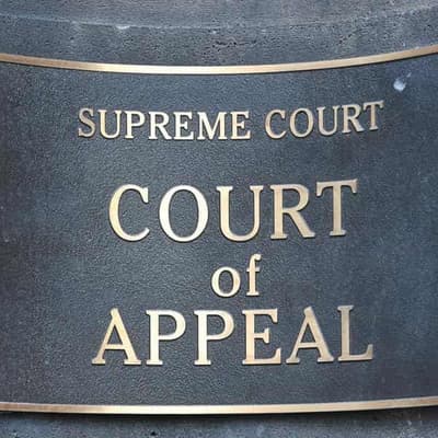 Convicted child abuser's sentence slashed on appeal