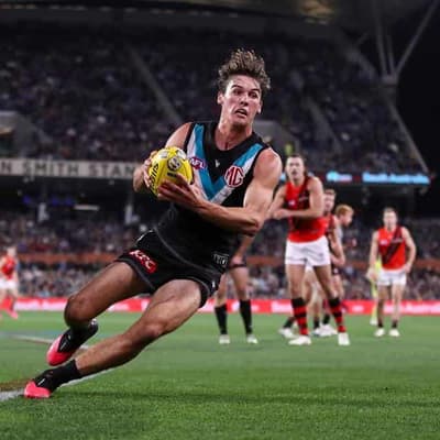 Port skipper Rozee set for Showdown after injury scare