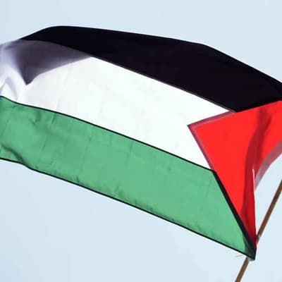 Man jailed for planting 'bomb' over Palestine dispute