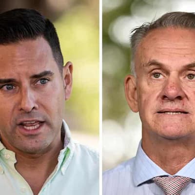 High-profile MPs to be witnesses in Latham defamation