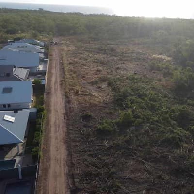 Allegations as controversial land-clearing stops