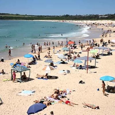 Impending travel restrictions claim just a flight of fancy
