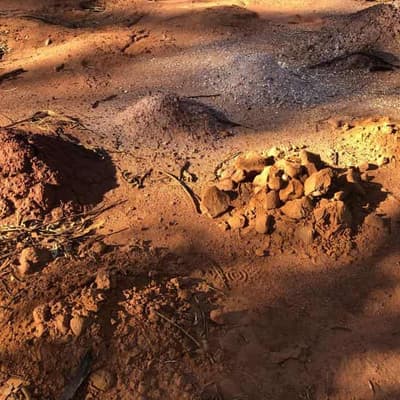 Value-added: back to a future made in Australia's mines