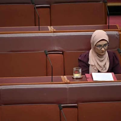 Senator's Palestine remark ignites fiery debate