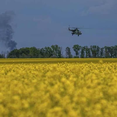 Ukraine says it destroys Russian missile ship in Crimea