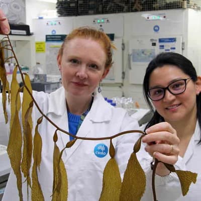 Why Google is recruiting Aussies for AI breakthroughs