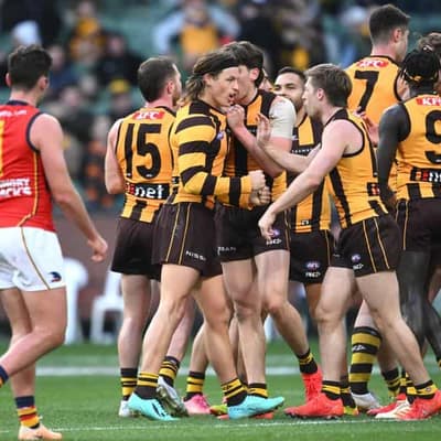 Adelaide coach fumes as Hawks continue Crows' MCG woes