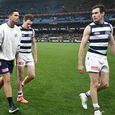 Cats concerns over Dangerfield ban, Hawkins injury