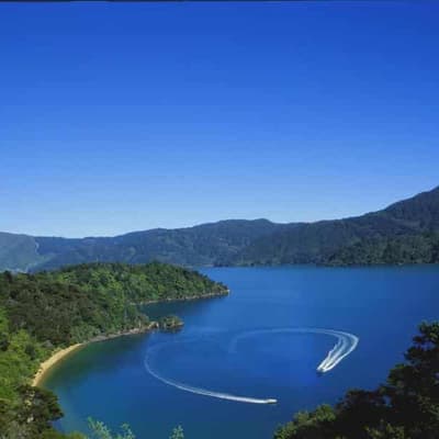 New Zealand's Interislander ferry runs aground