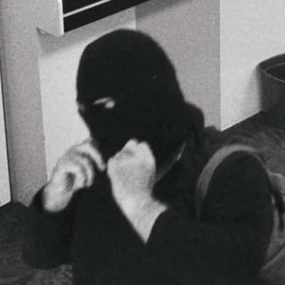 Terminally ill Bicycle Bandit handed 85-year jail term