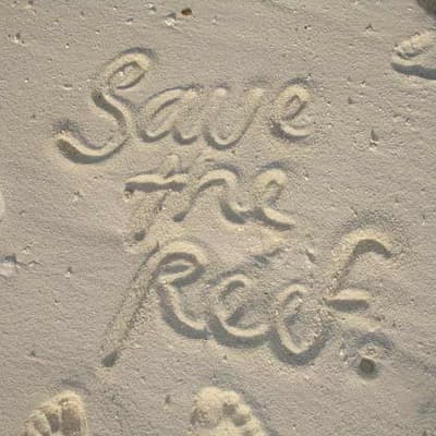 Ramp up targets to save reef, UNESCO tells Australia