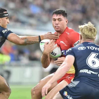 Dolphin warming to sunny Redcliffe after lukewarm start