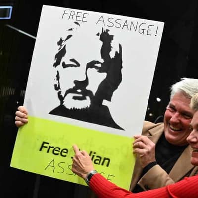 Security law watchdog urges reform as Assange freed