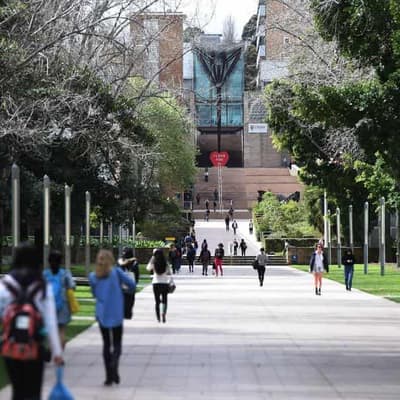 Scholarship spurs Syrian refugee to study science