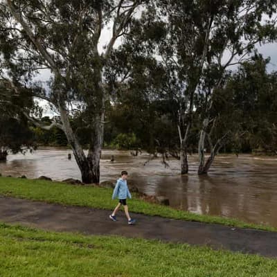 Homicide probe after woman's body found in river