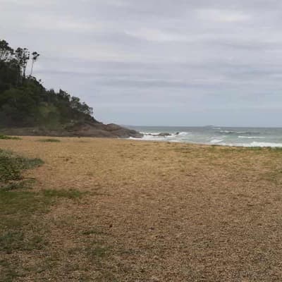 National hunt for identity of woman in beach bones find