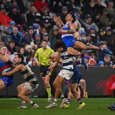 Bulldogs beat Cats in the wet to continue finals push