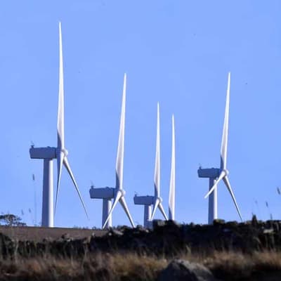 Farmers charged up over renewable energy projects