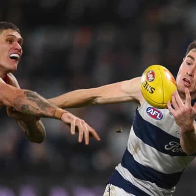 Revitalised Geelong still in contention: Cameron