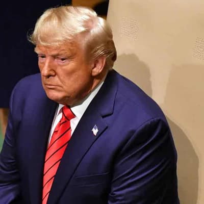 Epstein documents falsehood targets Trump