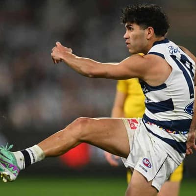 Cats' Stengle OK after reported collapse in nightclub