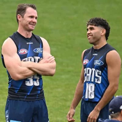 Dangerfield backs Cats teammate Stengle after 'error'