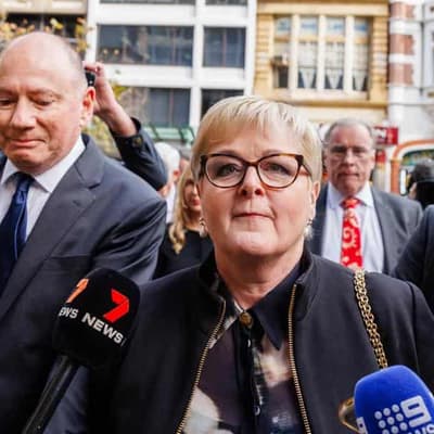 Senator labelled a villain in Higgins' 'fairytale'