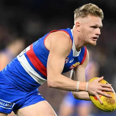 Dogs coach lauds 'rounded' milestone man Adam Treloar