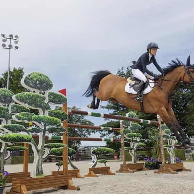 No Versailles showjumping final for Aussie 50-year-old