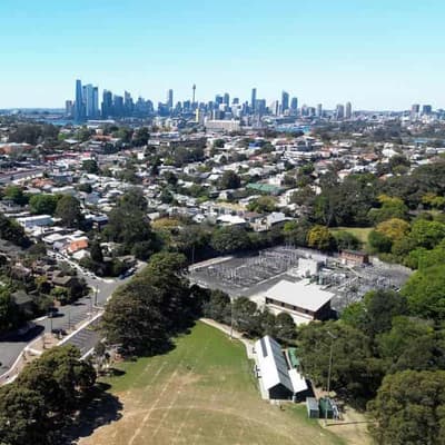 Trees might be making cities hotter as climate warms