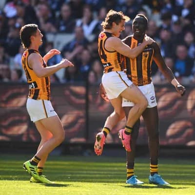 Red-hot Hawks smash Carlton, surge into AFL's top eight
