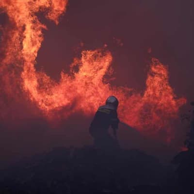 One dead as Greek wildfire burns in Athens suburbs