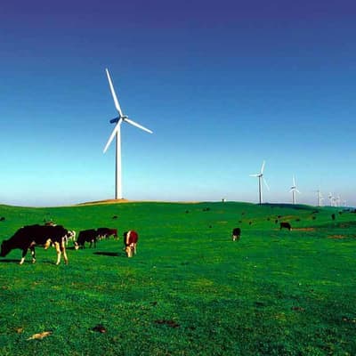 'Clock is ticking': regions need a say in clean energy