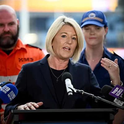 Overhaul for 'antiquated' system as police vests vanish