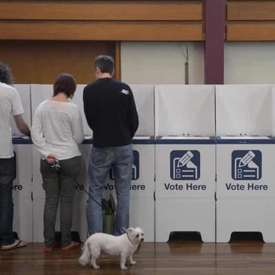 Liberals miss deadline in council election 'shambles'