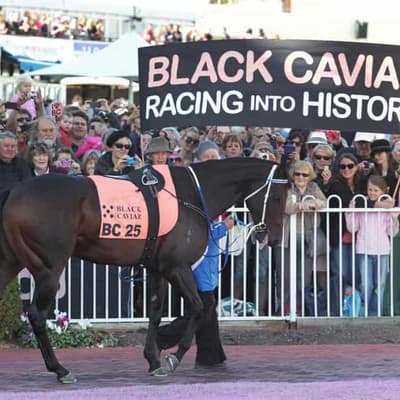 Legendary racehorse Black Caviar dies