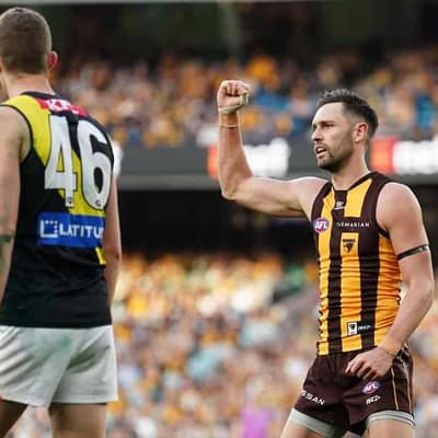 Hawks star Day avoids broken collarbone in big win