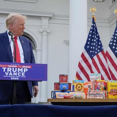 Fake quotes used to ridicule Trump