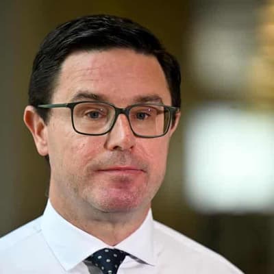 Nationals leader misses the mark on transmission lines claim