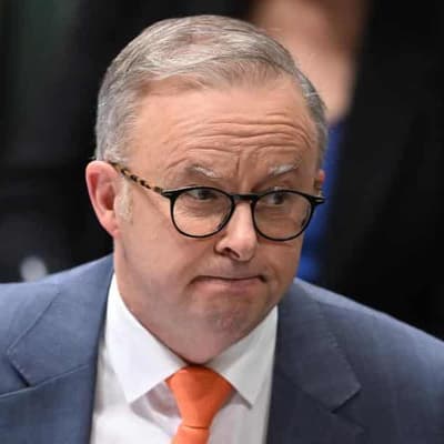 False Albanese communist claim down to Wikipedia error