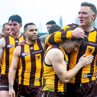 Hawks' remarkable rise has skipper daring to dream