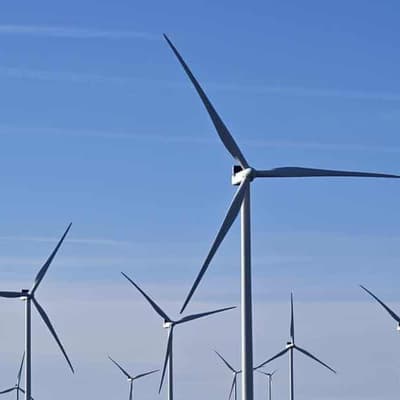 Offshore wind zone cut to appease locals, save whales