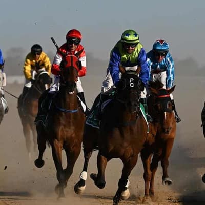 'It's in our blood': the ties that bind in Birdsville